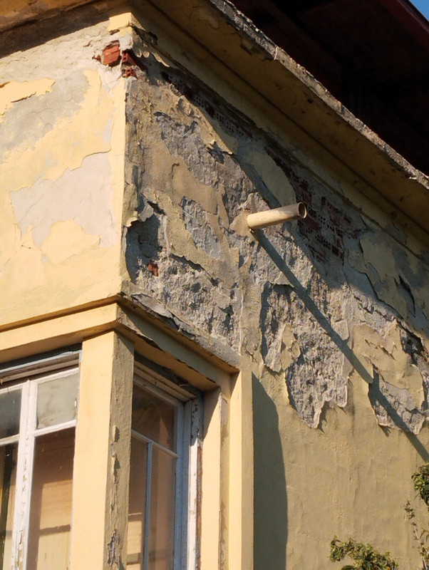513828446-122129254232726031-5463555183069329060-n