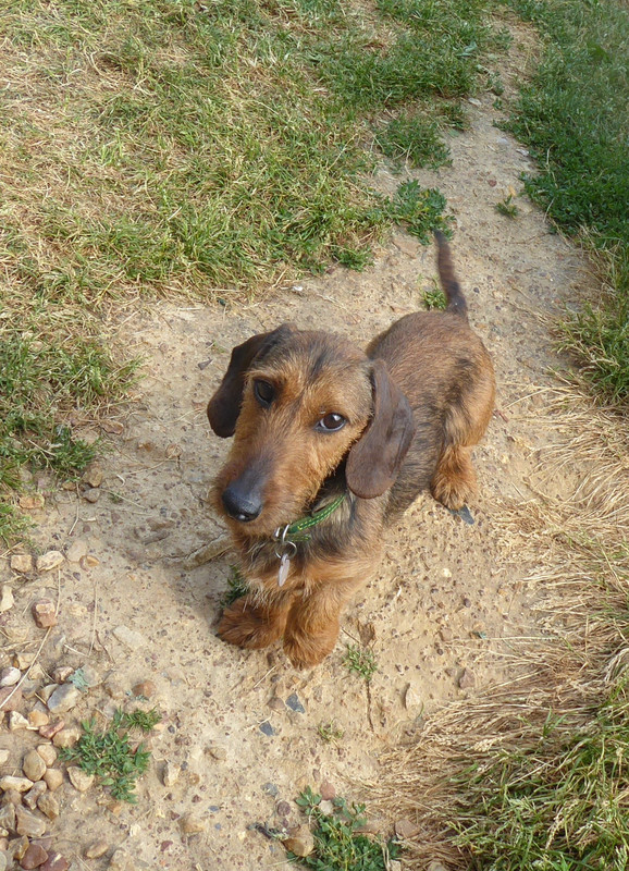 [Image: P1030291.jpg]