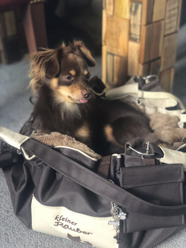 489AE33A-FEA8-40AF-9EEC-254C8DEA7585