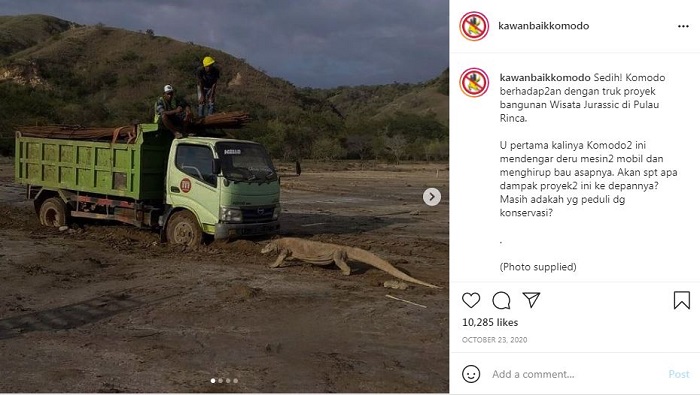 foto seekor komodo yang tengah menghalangi truk besar di sebuah taman beredar luas secara online pada 2020 lalu.