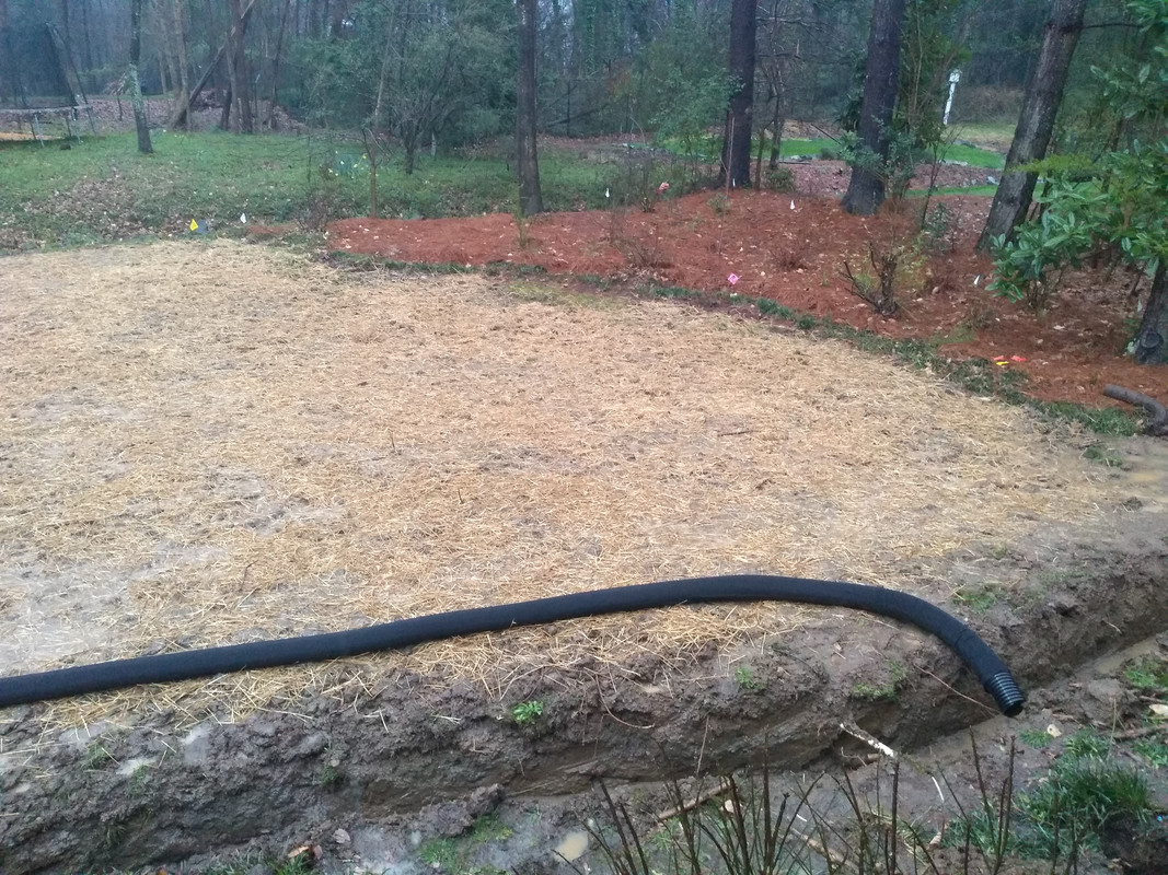 TTTF and weeds to Chisholm Zoysia Lawn Care Forum