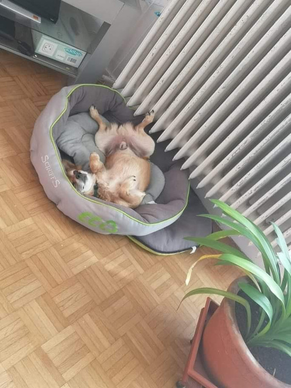 [Image: thumbnail-1.jpg]