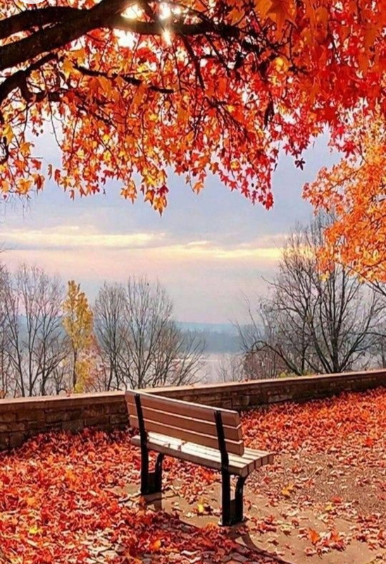 Screenshot_20230103_232644_Chrome