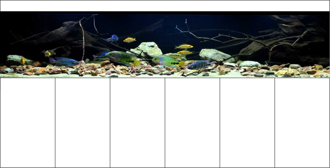 4F4DFEC9-A37A-4978-B810-9CB1D38238D3