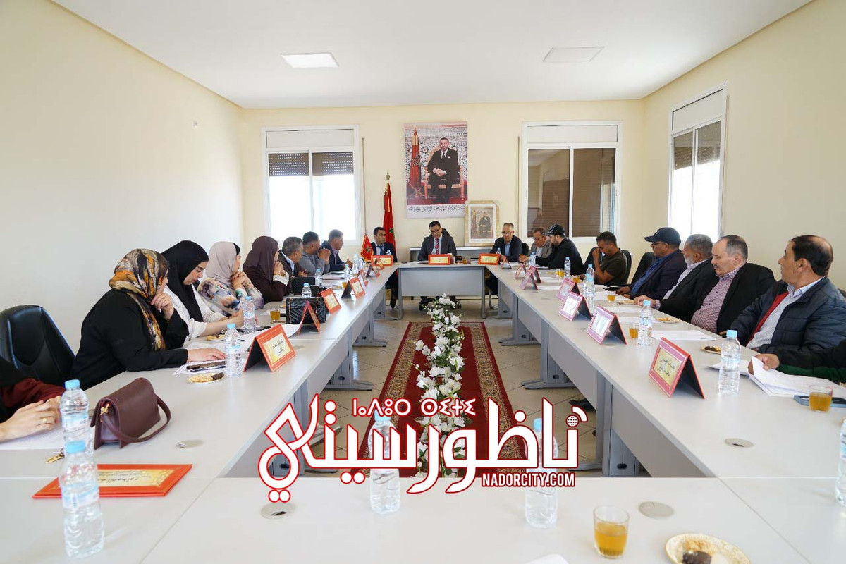 WhatsApp Image 2025-05-06 at 22.34.06 (1)