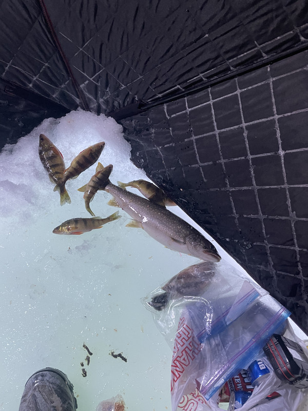 D6B7C483-AB71-4933-AC8F-2EA5FE4198F9