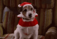 Frasier-Santa-Eddie.gif