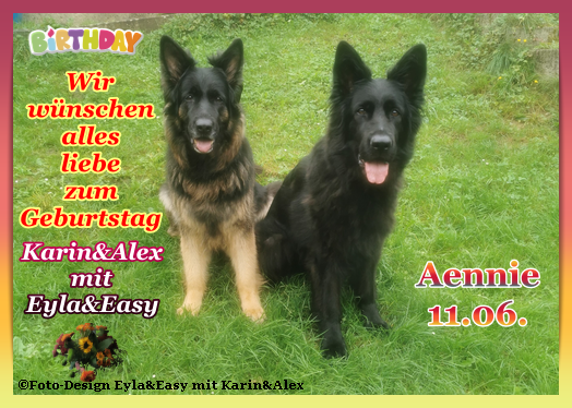 An den Beitrag angehängtes Bild: https://i.postimg.cc/D0MD7MXs/Vorlage-Geburtstag-2024-png-Birthday-png-Aennie-11-06.png