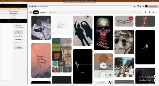 Ninja Pinner 7.6.5.4 (Pinterest bot)