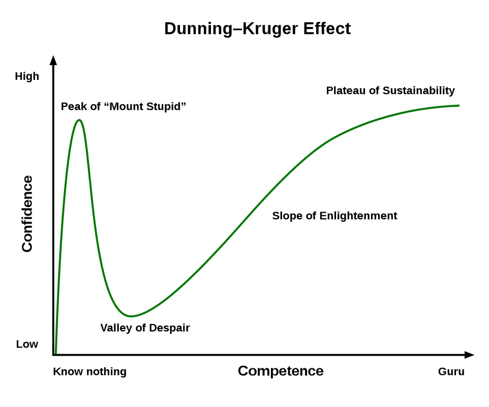 1231px-Dunning–Kruger_Effect_01.svg