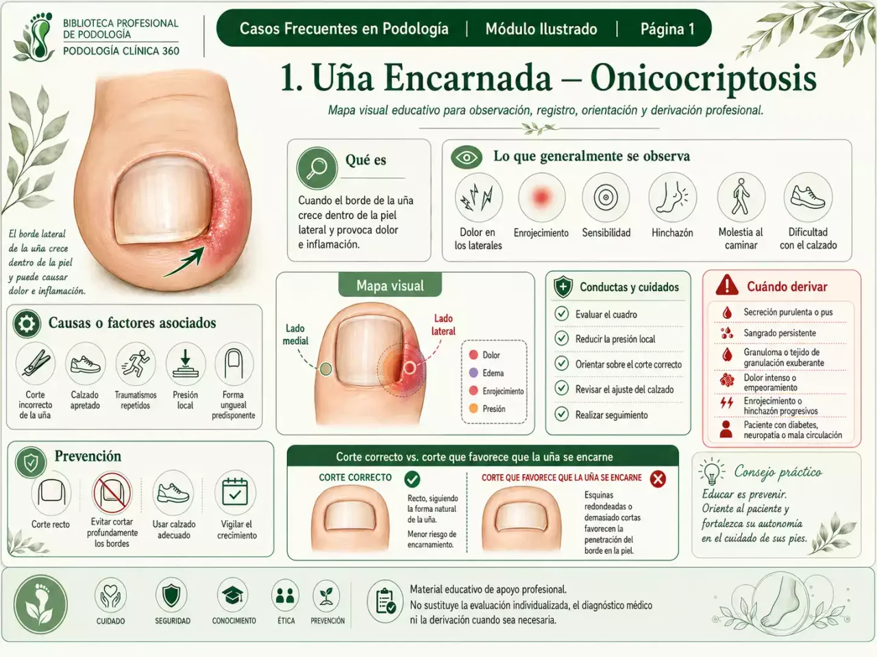 Ficha de evaluación