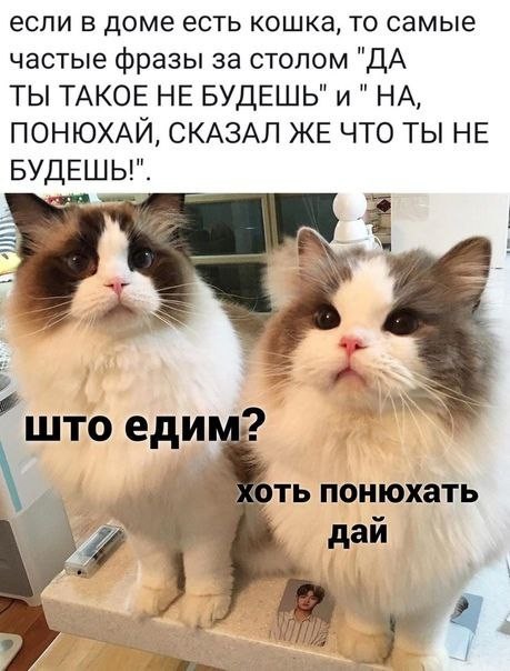 [Изображение: izobrazenie-viber-2026-04-29-05-12-49-435.jpg]
