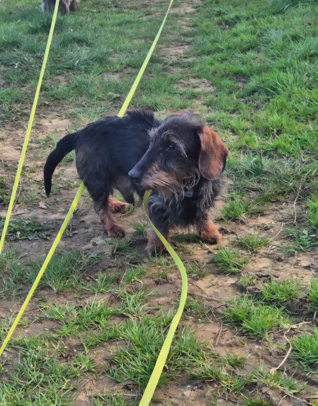 [Image: IMG-20250319-WA0006.jpg]