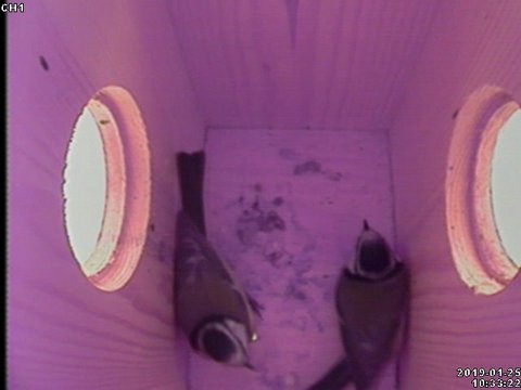 EACDC12C-F899-4FB7-A9E9-25D947D04BDF