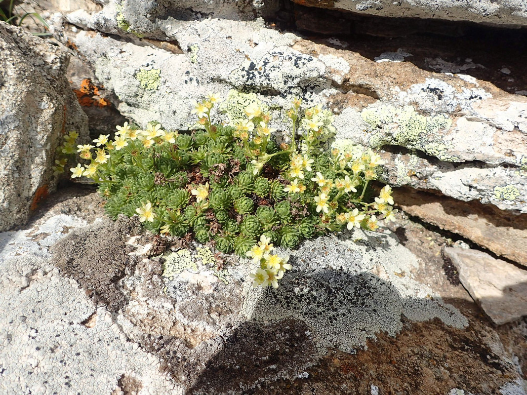 2019_0804BAŁKANY0862