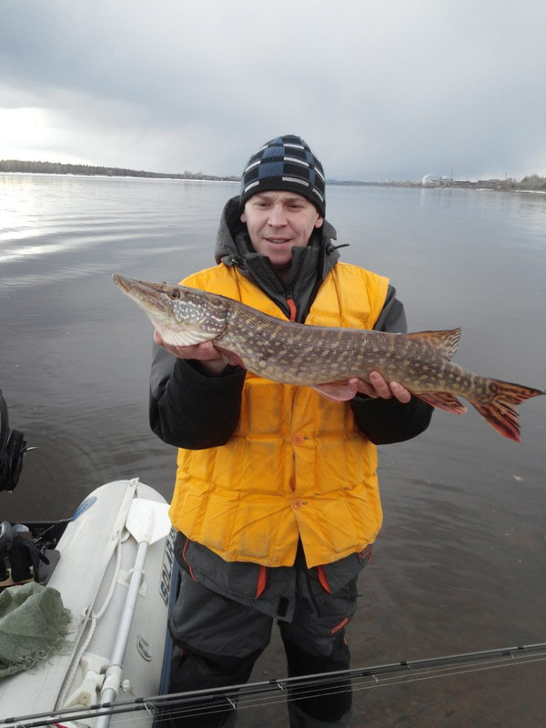 Щука на паралон