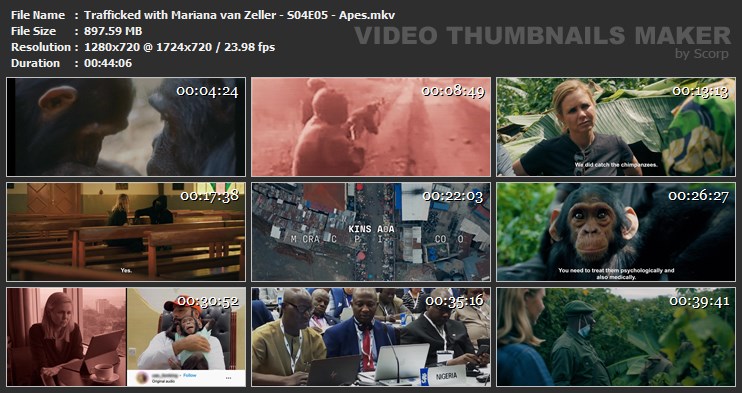 Trafficked with Mariana van Zeller - S04E05 - Apes.mkv