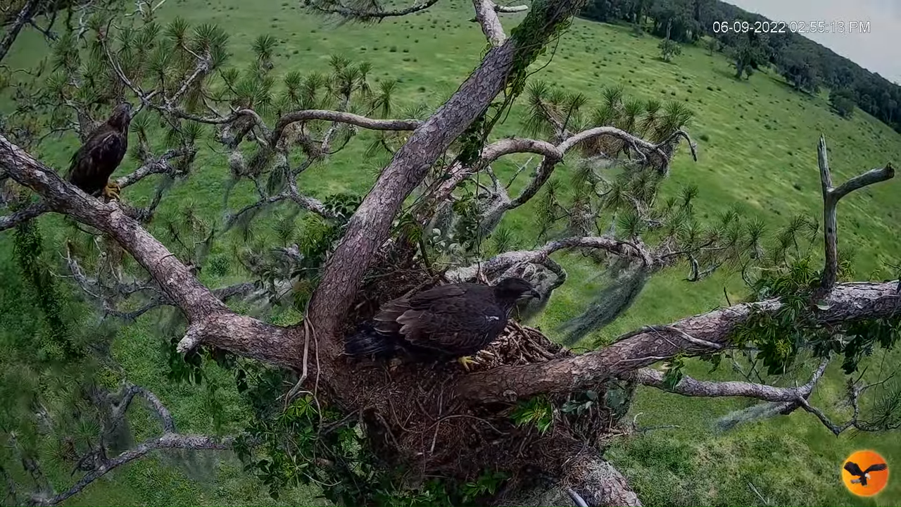 EC 4K Overhead Cam 9-52-32 screenshot