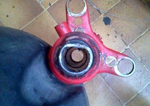 10799709_1005639356129949_1471045146_n