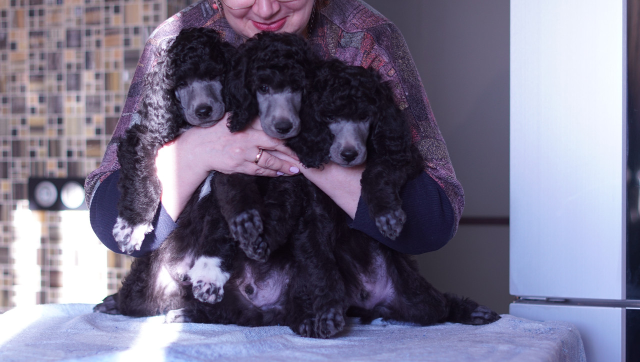 5F4E8EBB-67FC-4312-B65F-2C8BBC057938