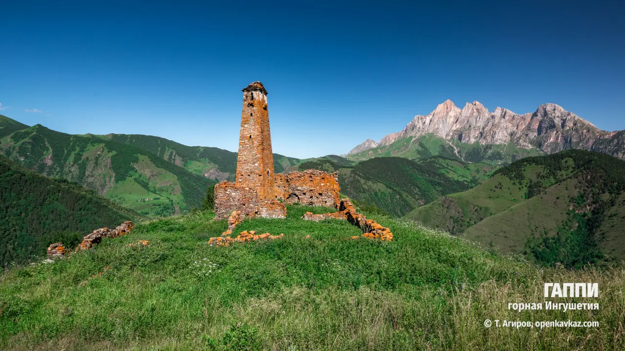 8466DCA1-6E7E-4E31-902C-8DF9832E42EE