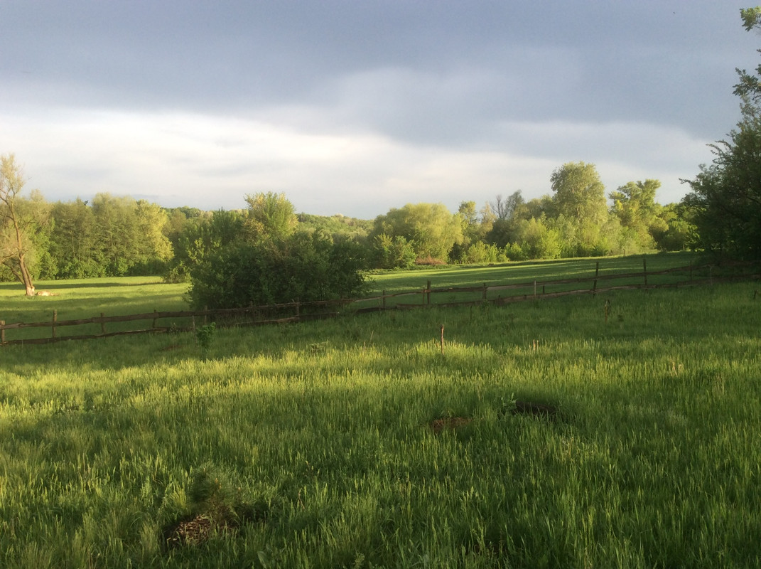 658EE569-BCE0-4E14-8F9A-EA21A93F965F