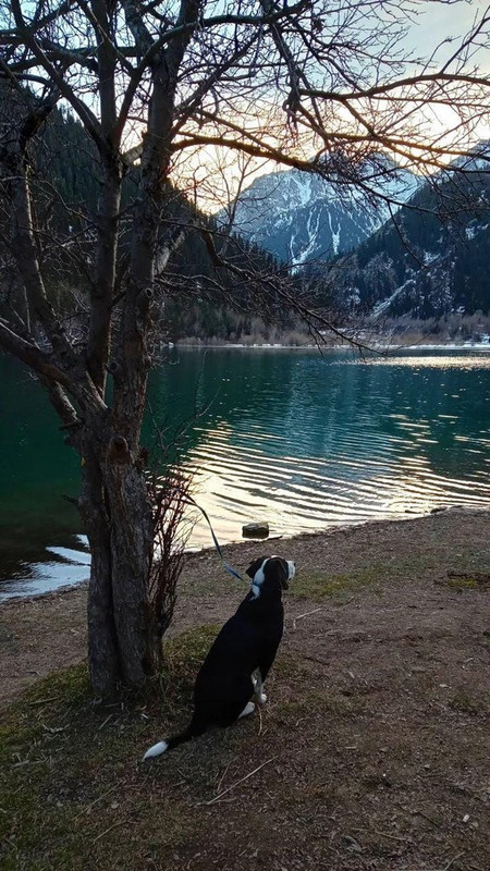 WhatsApp Image 2024-01-17 at 14.36.46 (1)