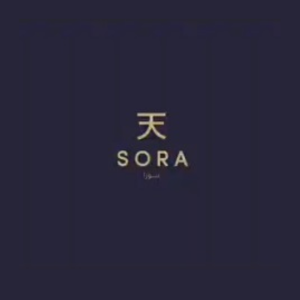 Sora Rooftop logo