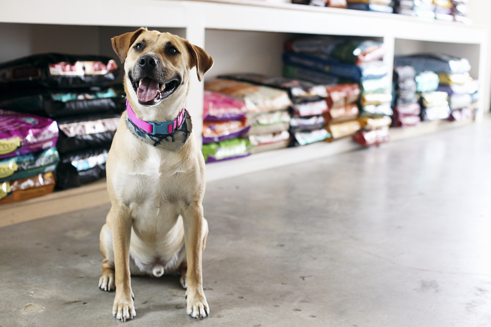 pet food stores melbourne