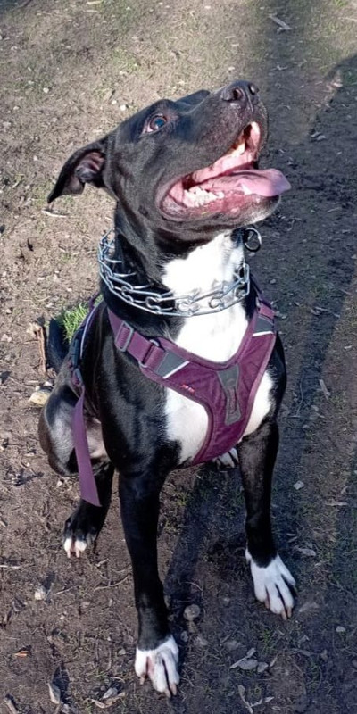 68335068-0C0D-46D3-9F56-7F495641D85D