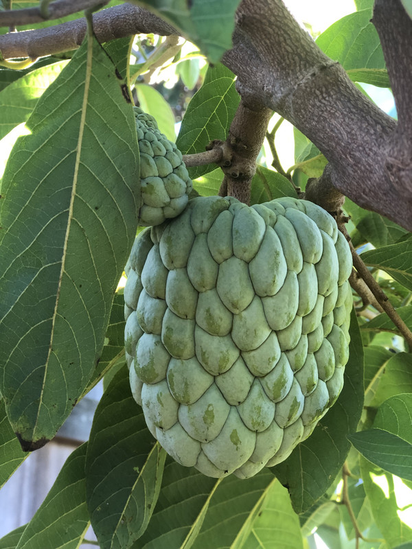 2341E58B-B58A-470E-A7EC-6824C0BE0034