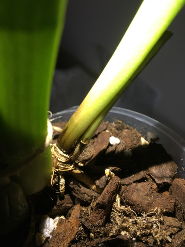 E3AE872F-A8CE-47F5-A7BC-B220CA7C5DBB