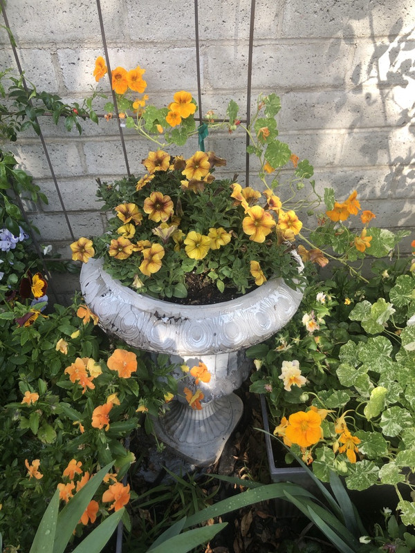 4-BEED4-E3-1-EBA-4-C73-AA37-BB5-A2-DDA0810-1-105-c