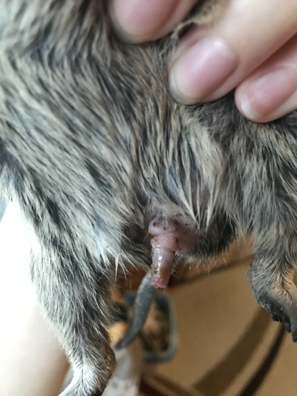 E13F1C40-0575-4996-B460-E64C4FF33B4A