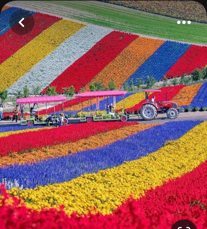 Screenshot_20230611_233727_Pinterest