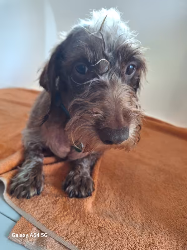 [Image: 20240930-120235-0.avif]