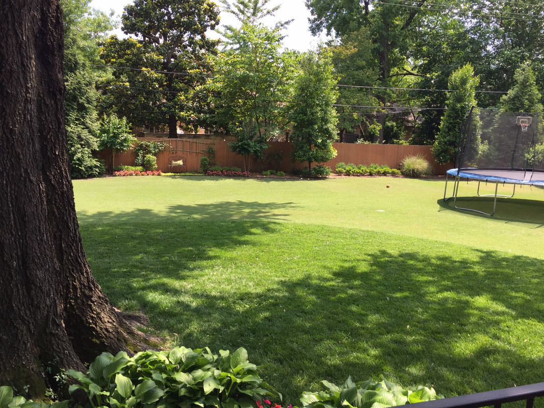 A4E7074B-EB6B-44E1-B257-FA43AD06A7C8