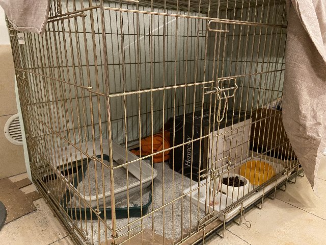 E1-B16-F49-4669-4-B90-B1-E6-E056-F8-A5-A