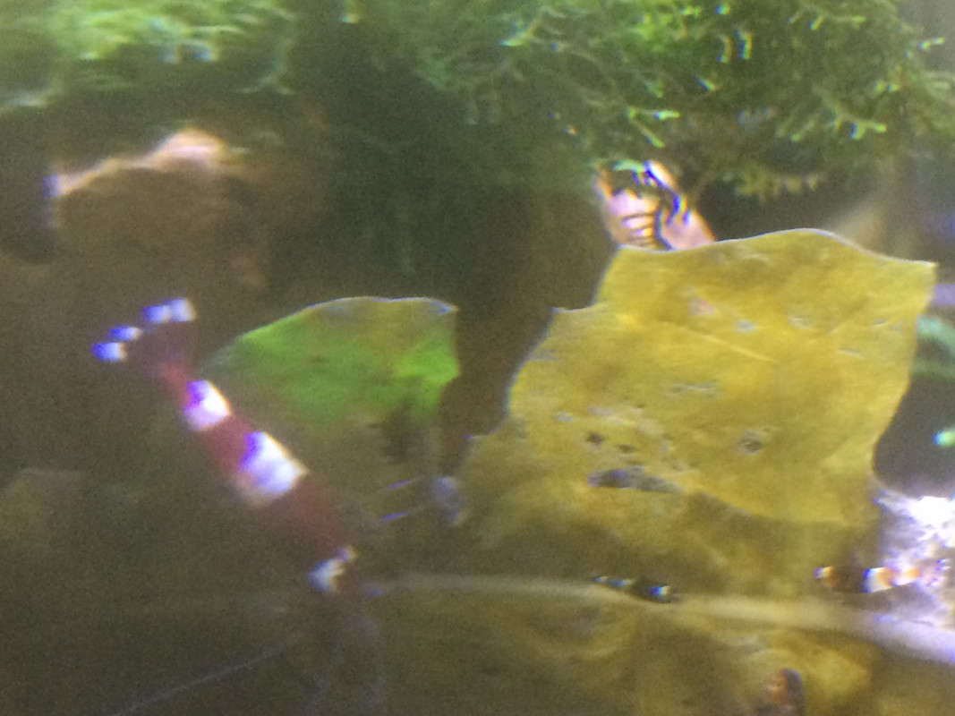 C46D7C26-3533-46EC-8152-1E7455C7AC61