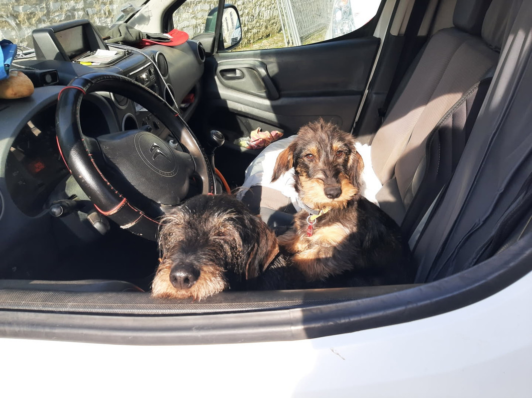 [Image: IMG-20250304-082902.jpg]