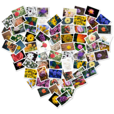 84d90f2d-a0c7-4afa-9cbb-ea9df7c1c30e.png