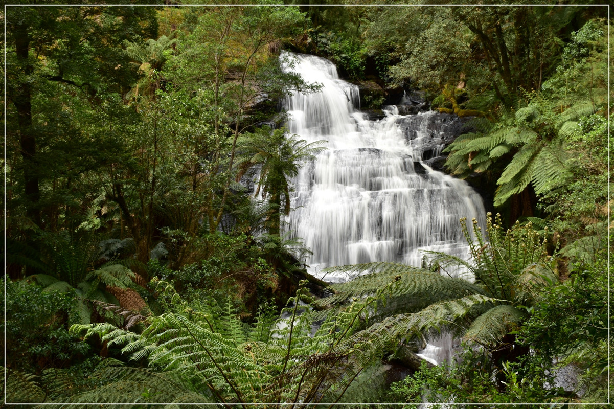 Great Ocean Road - Australia (I): toma de contacto (27)