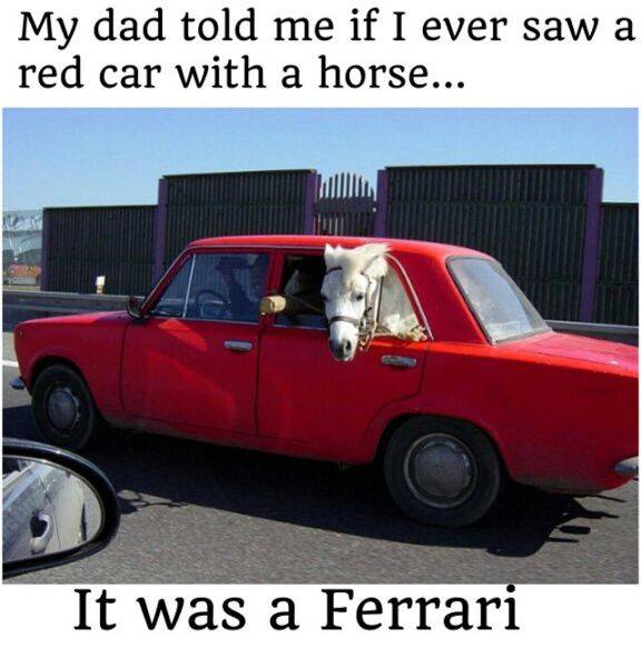 10609672_849491038395281_5657429261799911472_n