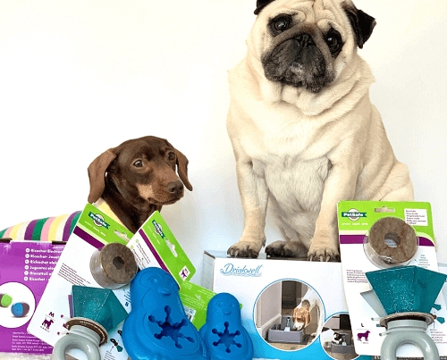 Dive into Pet Paradise: Unlock FREE Pet Products with PetSafe’s Exclusive Testing Opportunity! Dive into Pet Paradise: Unlock FREE Pet Products with PetSafe’s Exclusive Testing Opportunity!