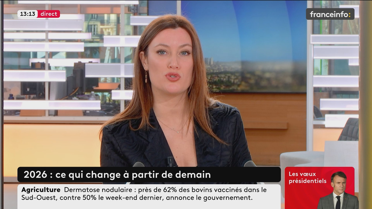Le fil info (Franceinfo) 2025 12 31 10 24 26 ts snapshot 01 50 15 361
