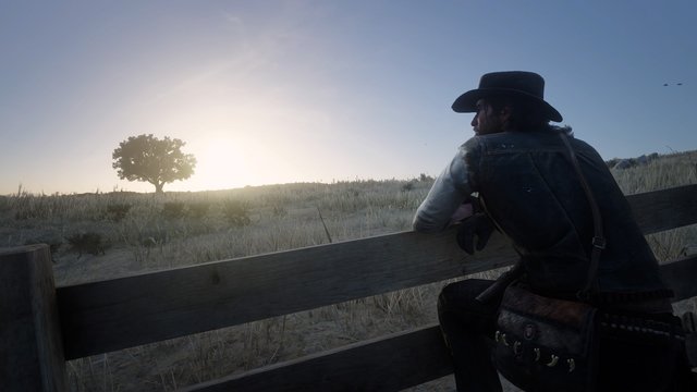 Red Dead Redemption 2_20200706165211