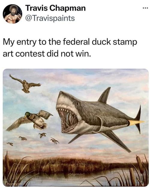 333673979-879353596678615-3561929004479918418-n.jpg