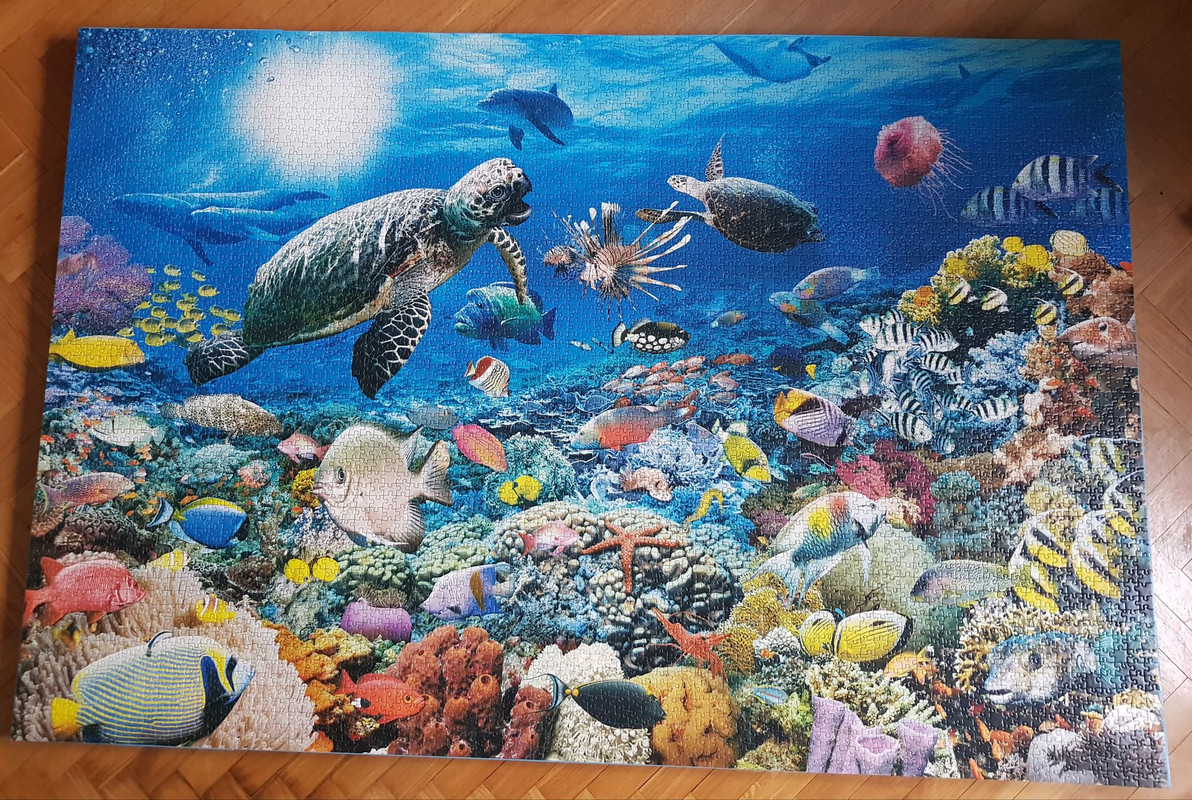 5 OCEANO (5000) (Rabensburg)