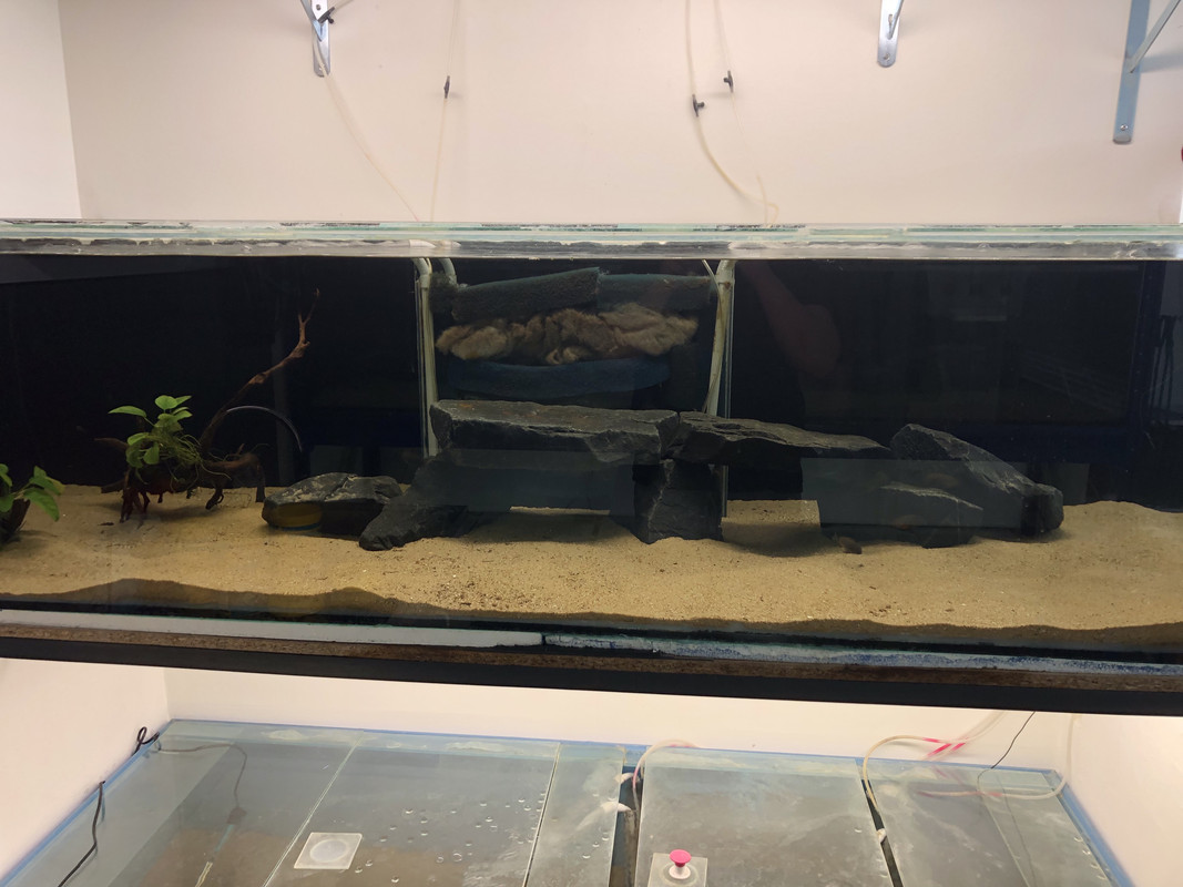 Og69IZK4T W2u0j9wxpGhA