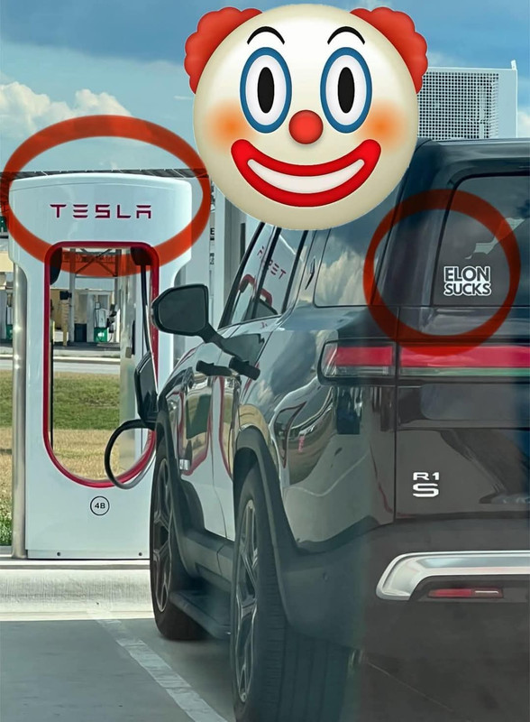 FB_IMG_1742029293797